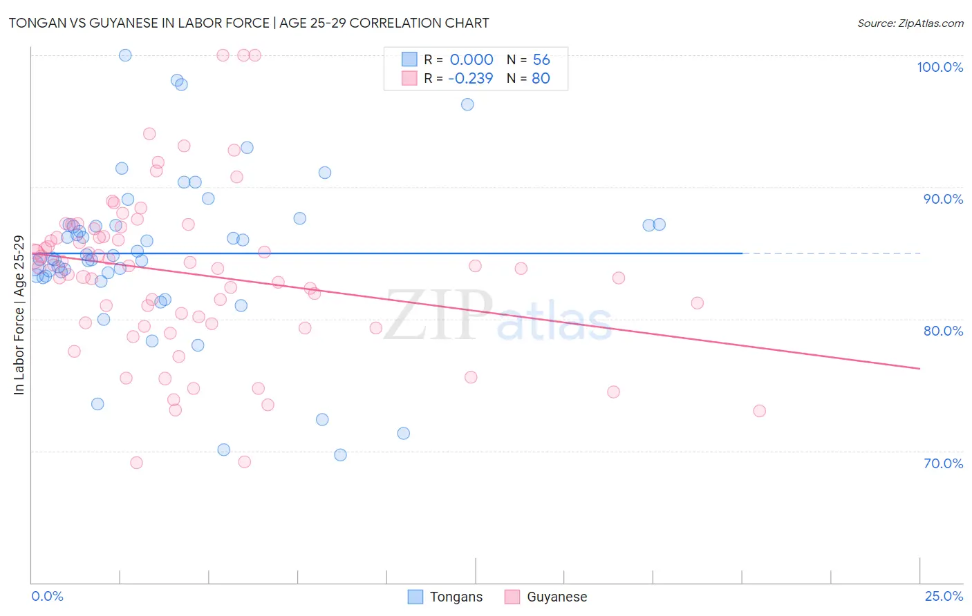 Tongan vs Guyanese In Labor Force | Age 25-29