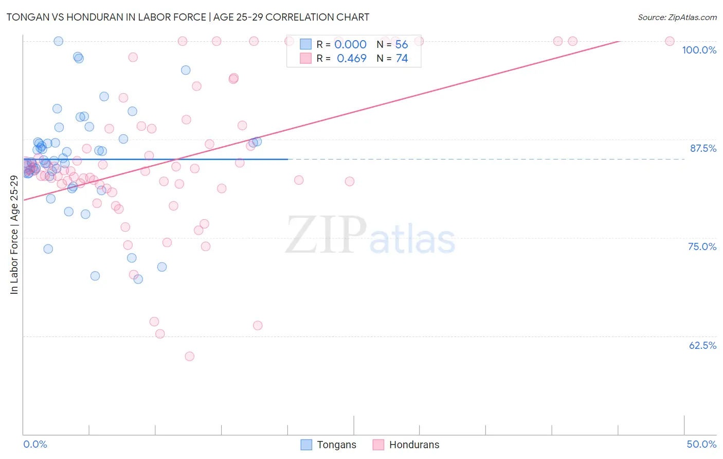 Tongan vs Honduran In Labor Force | Age 25-29
