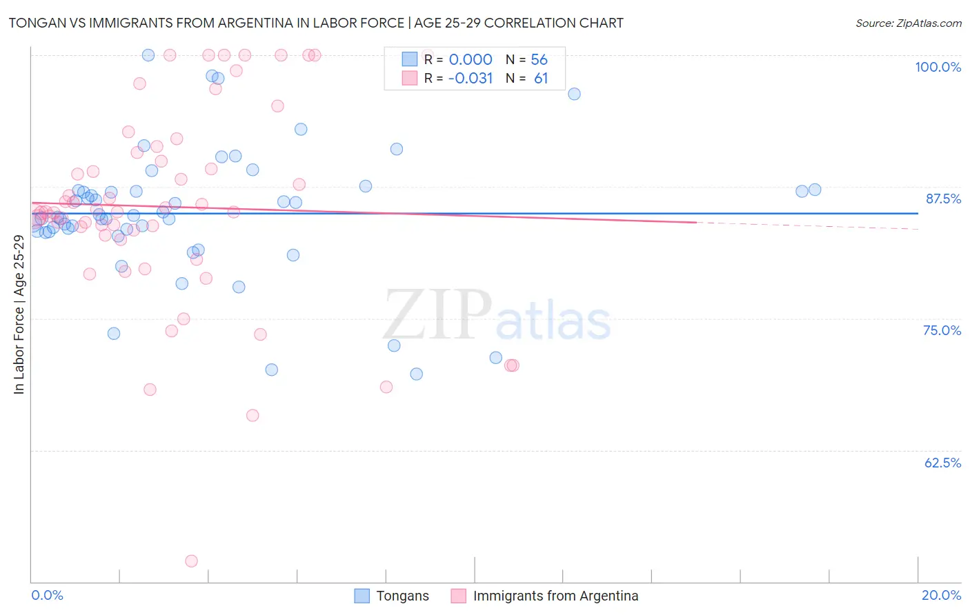 Tongan vs Immigrants from Argentina In Labor Force | Age 25-29