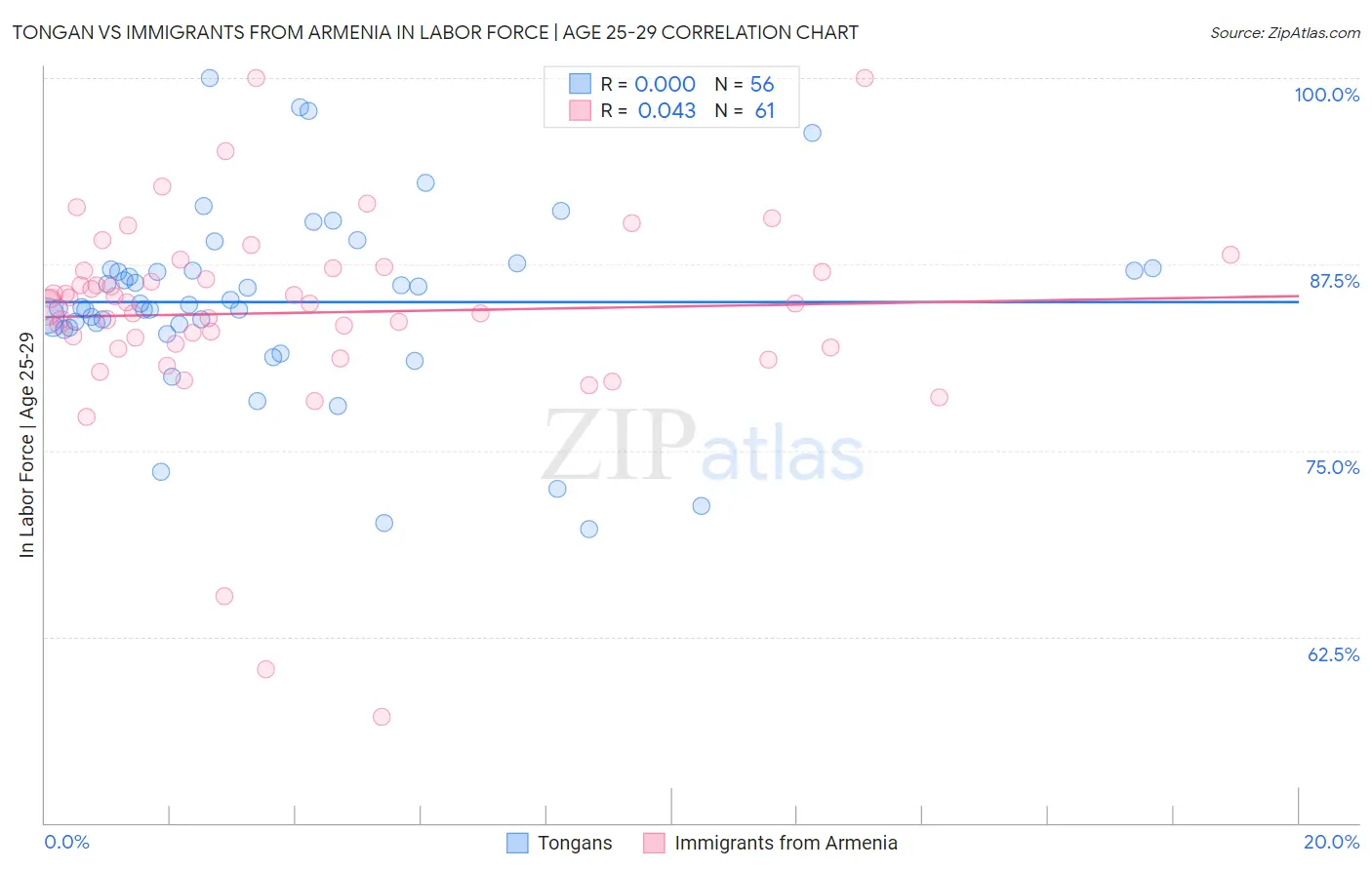 Tongan vs Immigrants from Armenia In Labor Force | Age 25-29