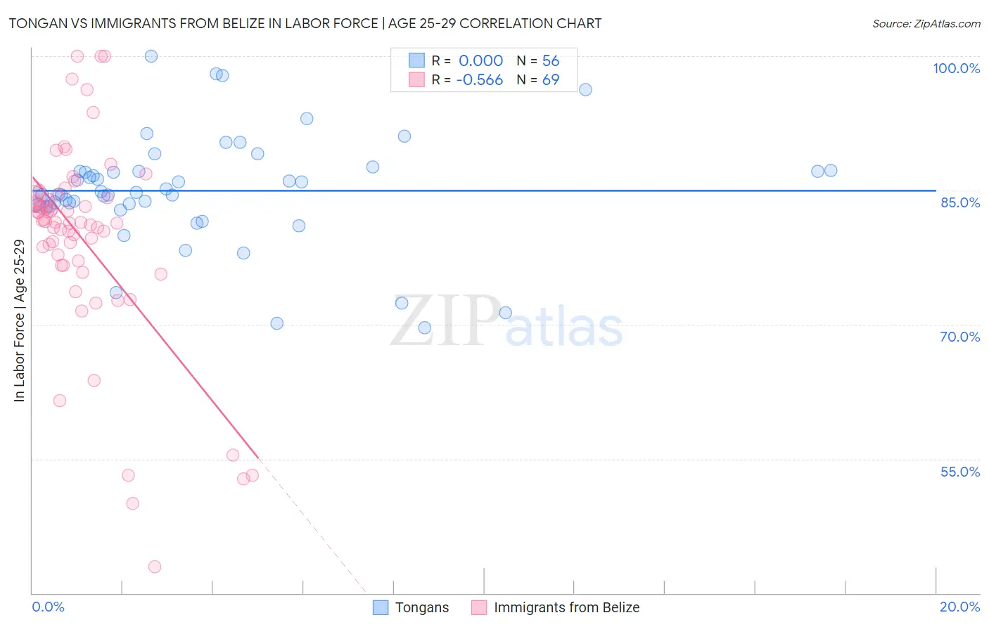 Tongan vs Immigrants from Belize In Labor Force | Age 25-29