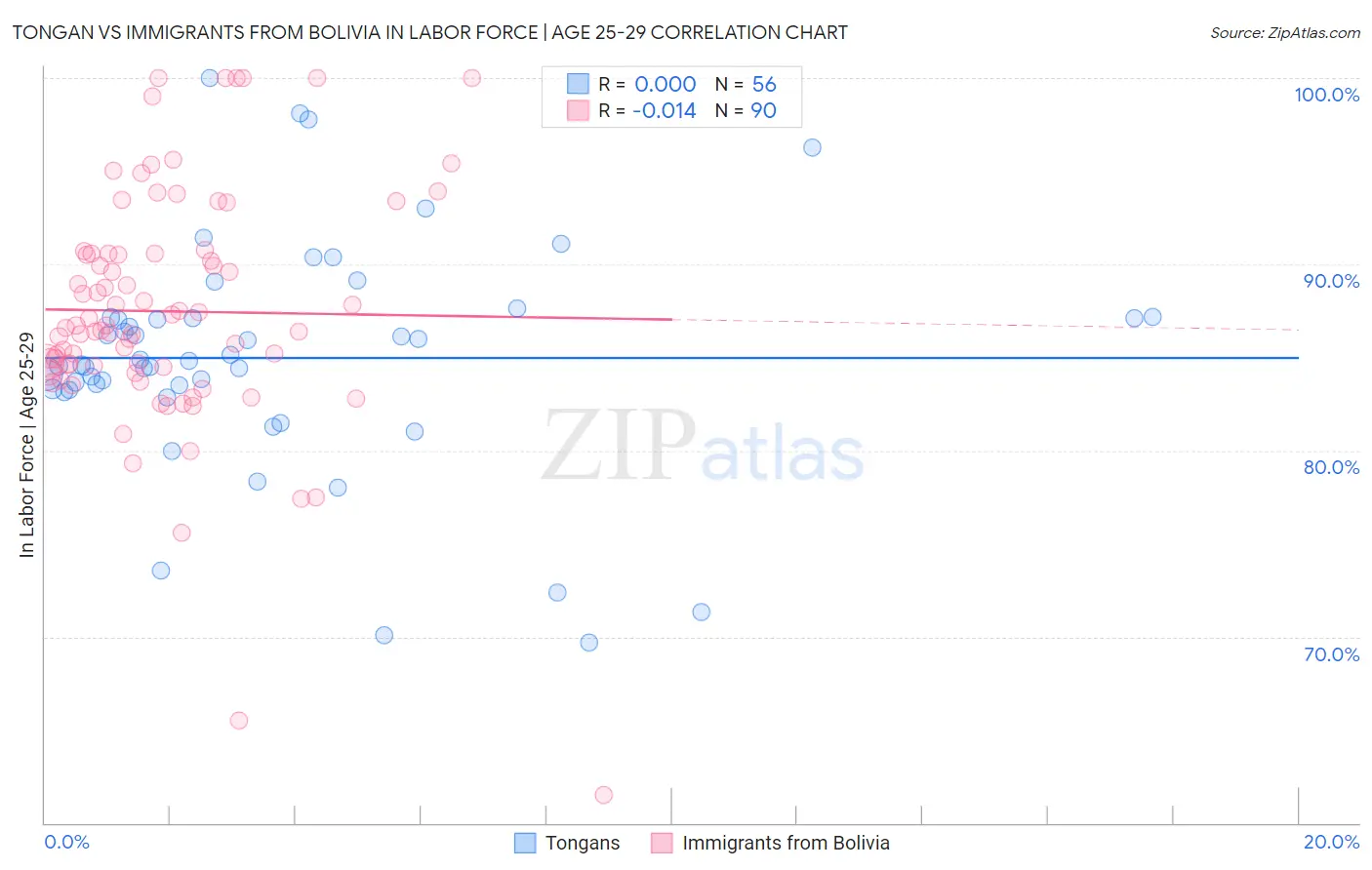 Tongan vs Immigrants from Bolivia In Labor Force | Age 25-29