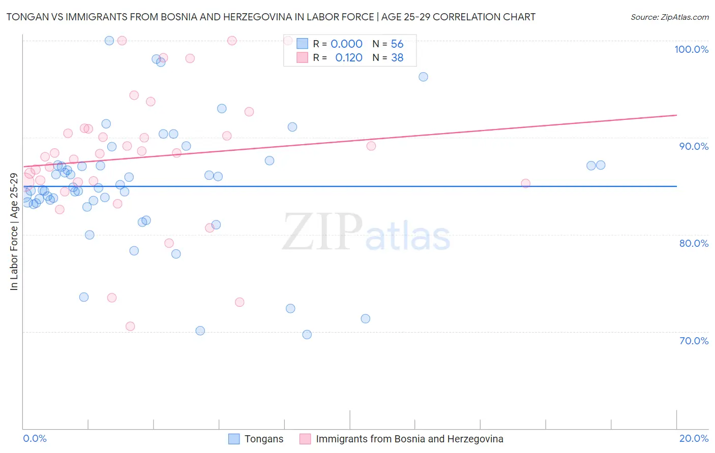 Tongan vs Immigrants from Bosnia and Herzegovina In Labor Force | Age 25-29