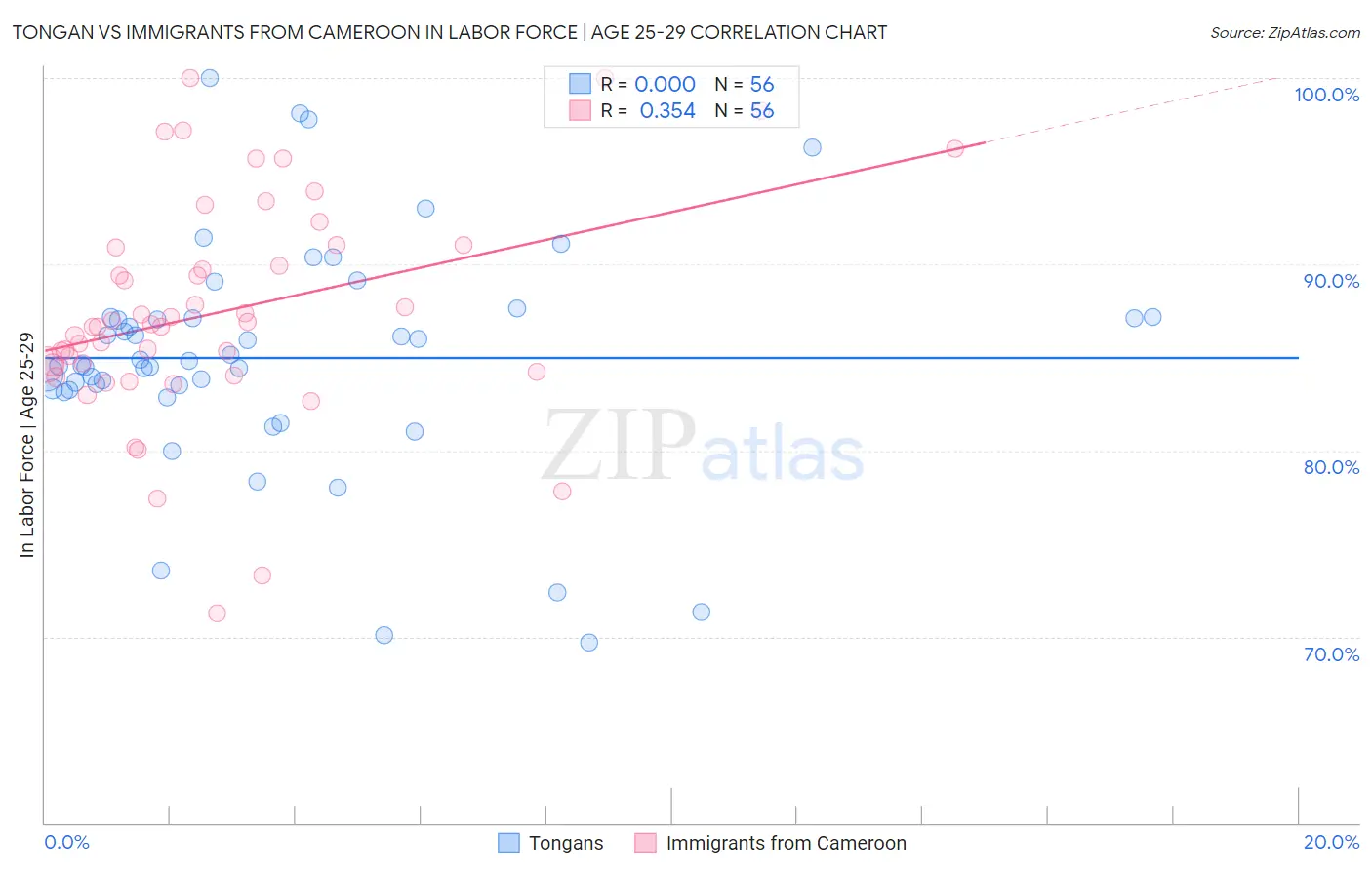 Tongan vs Immigrants from Cameroon In Labor Force | Age 25-29