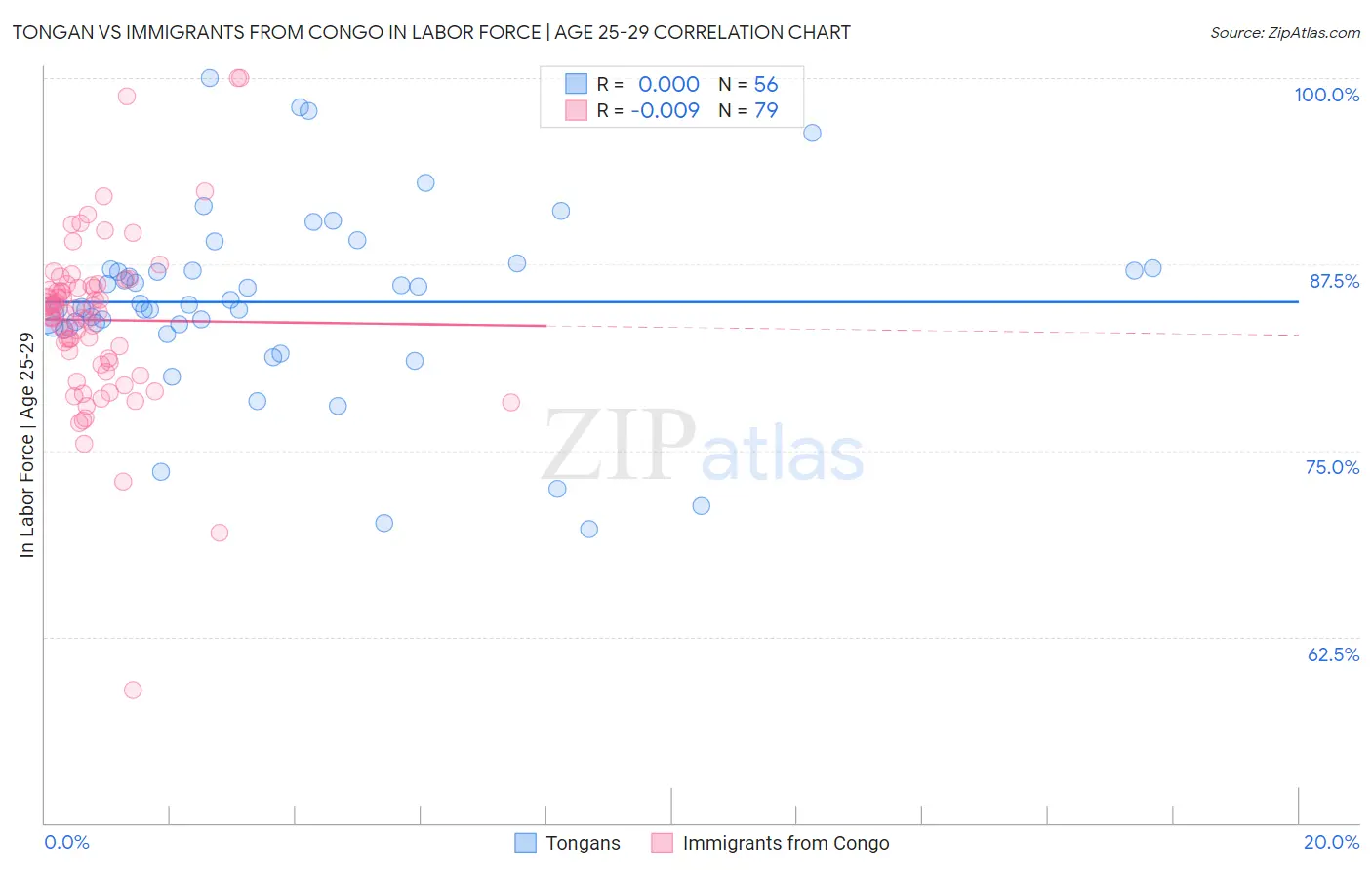 Tongan vs Immigrants from Congo In Labor Force | Age 25-29