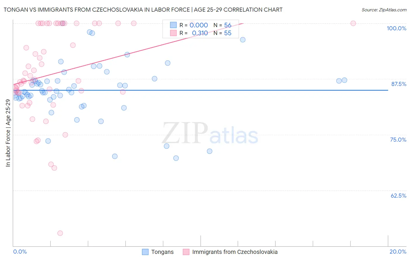 Tongan vs Immigrants from Czechoslovakia In Labor Force | Age 25-29