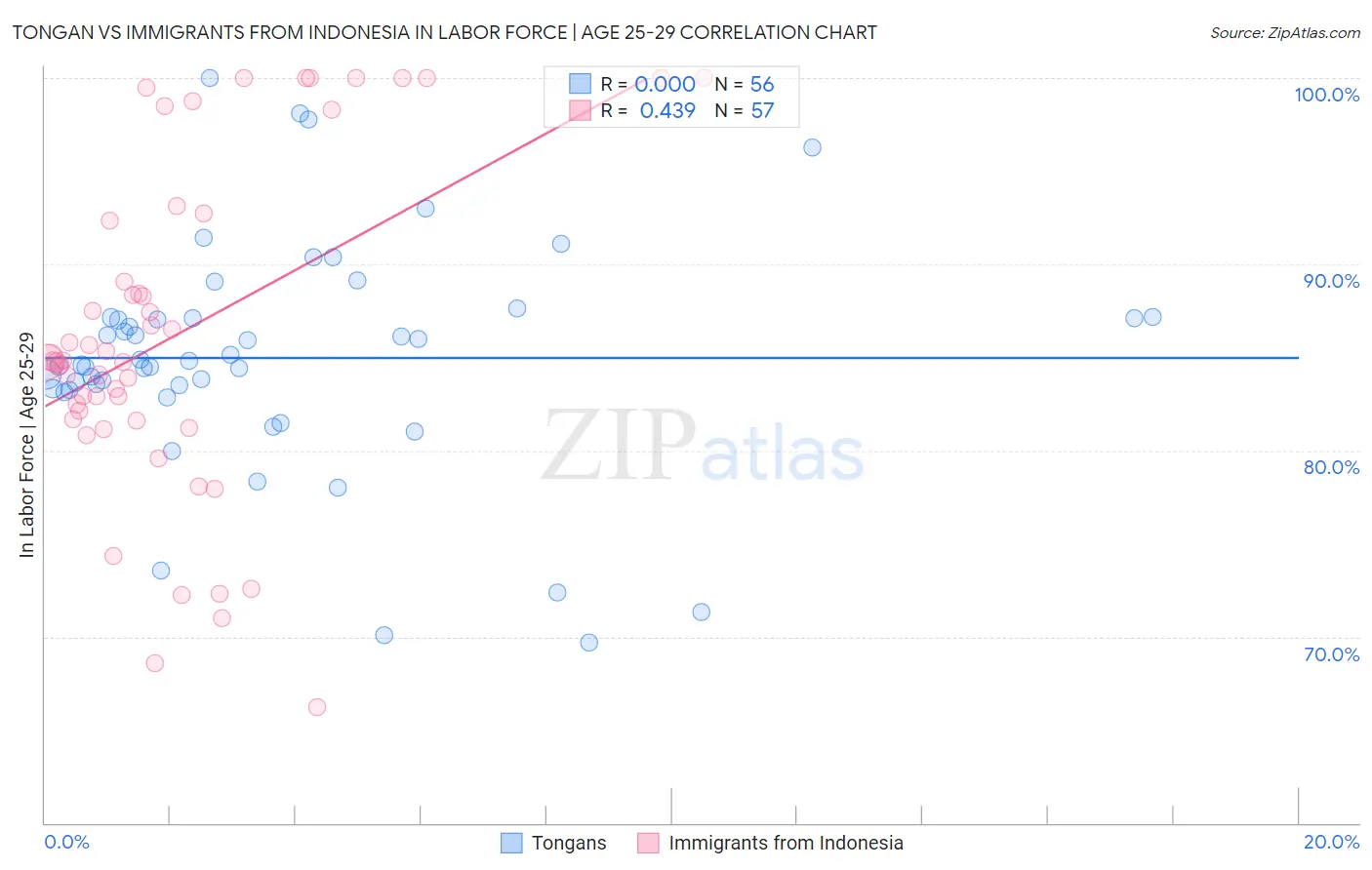 Tongan vs Immigrants from Indonesia In Labor Force | Age 25-29