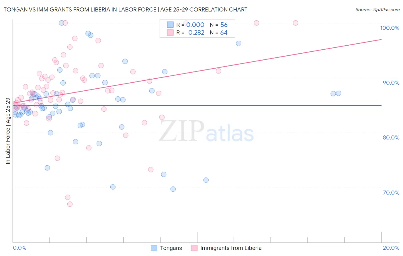Tongan vs Immigrants from Liberia In Labor Force | Age 25-29