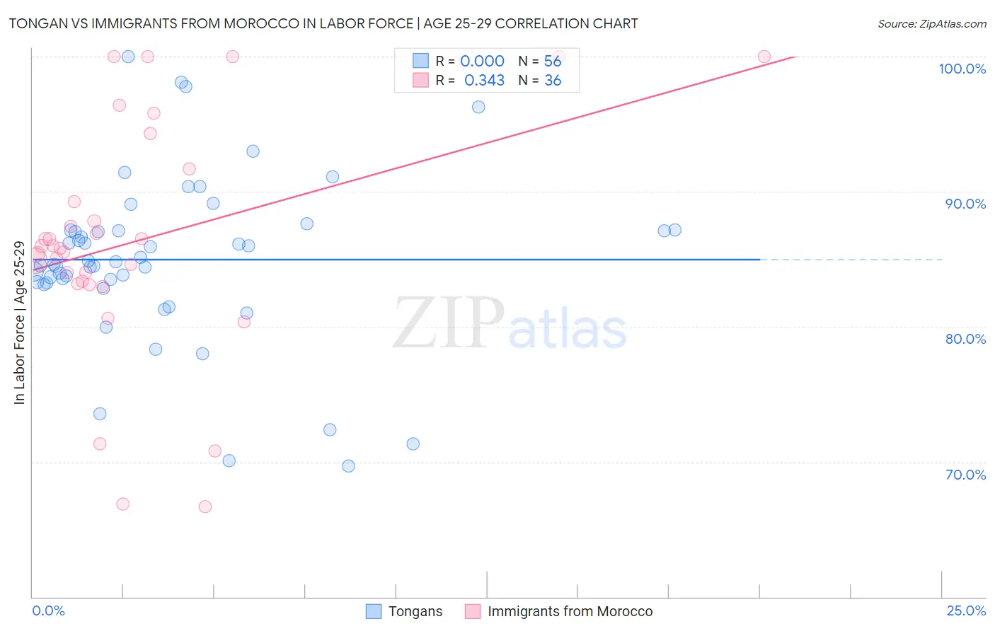 Tongan vs Immigrants from Morocco In Labor Force | Age 25-29