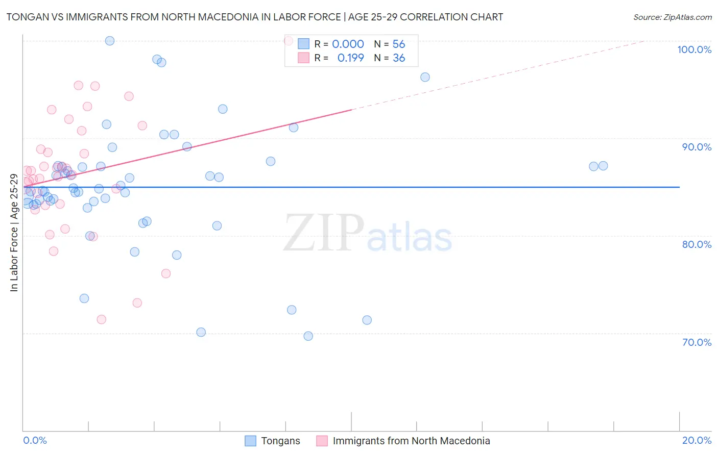 Tongan vs Immigrants from North Macedonia In Labor Force | Age 25-29
