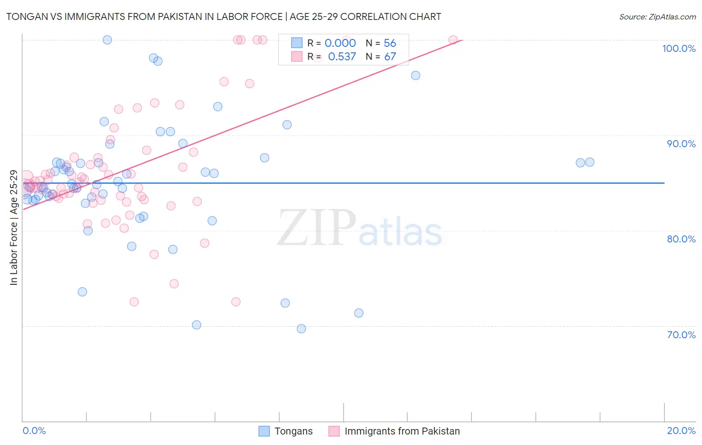 Tongan vs Immigrants from Pakistan In Labor Force | Age 25-29