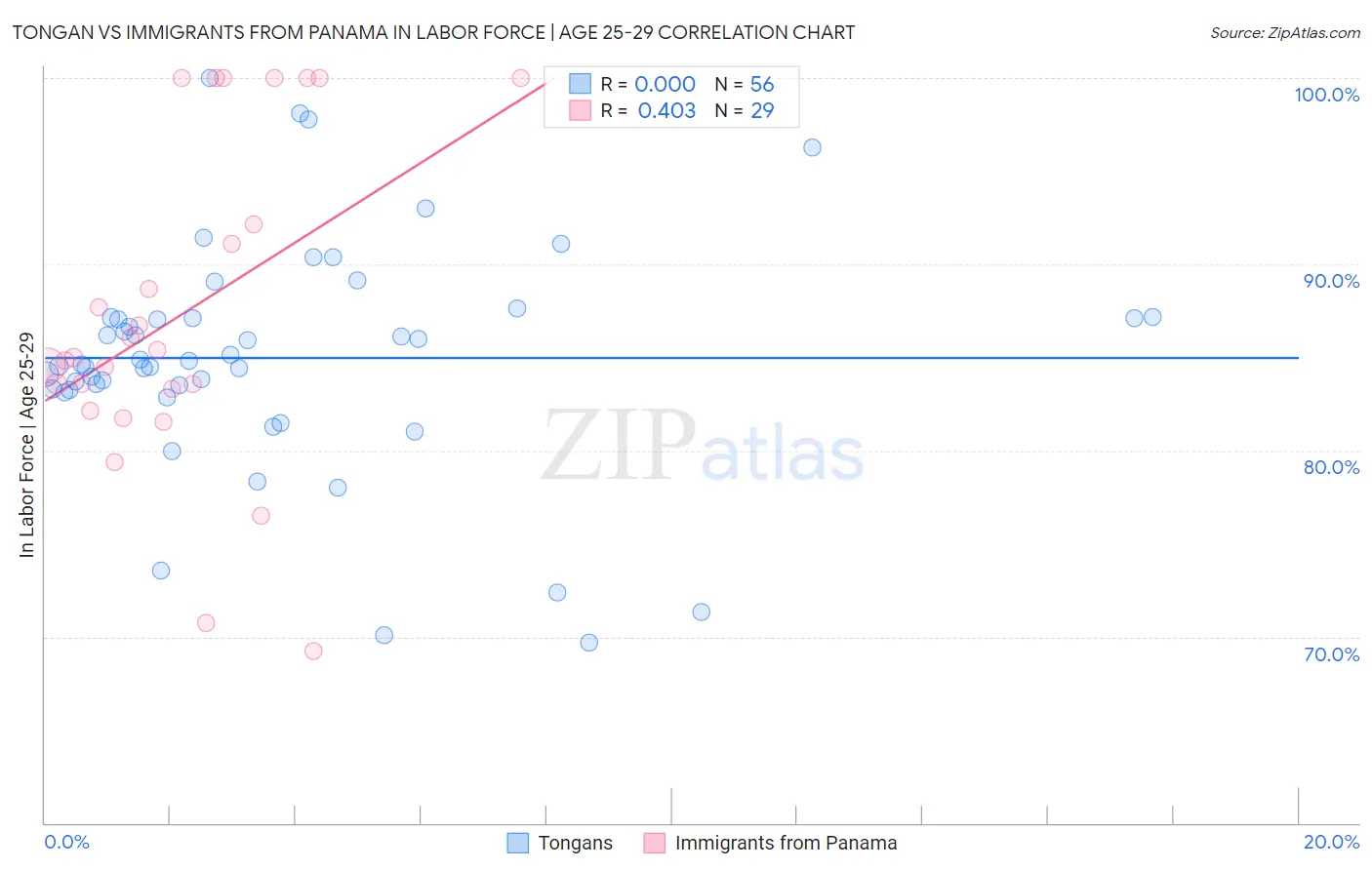 Tongan vs Immigrants from Panama In Labor Force | Age 25-29