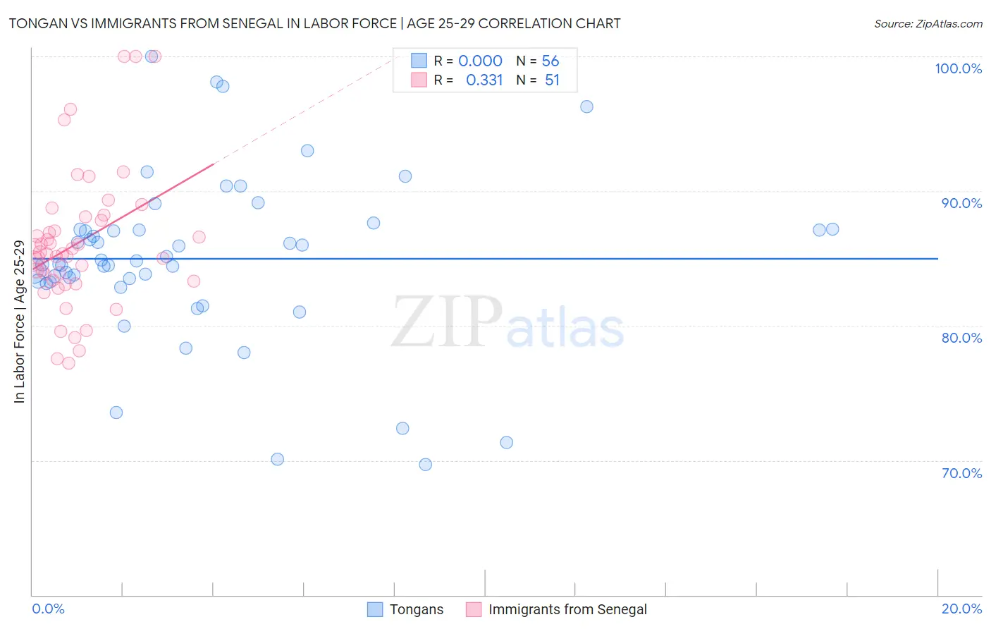 Tongan vs Immigrants from Senegal In Labor Force | Age 25-29