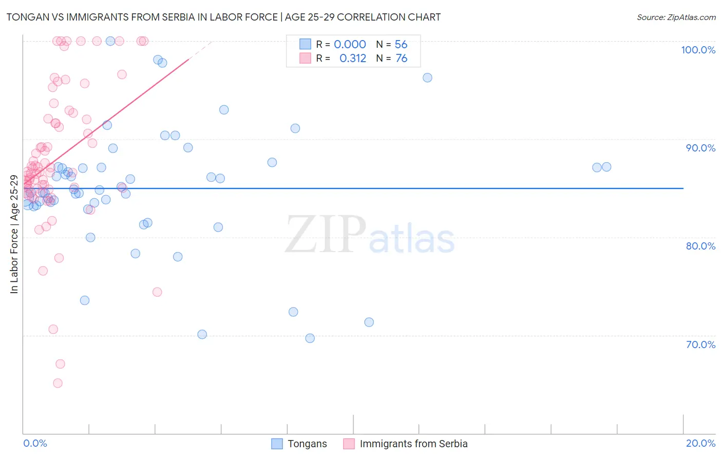 Tongan vs Immigrants from Serbia In Labor Force | Age 25-29