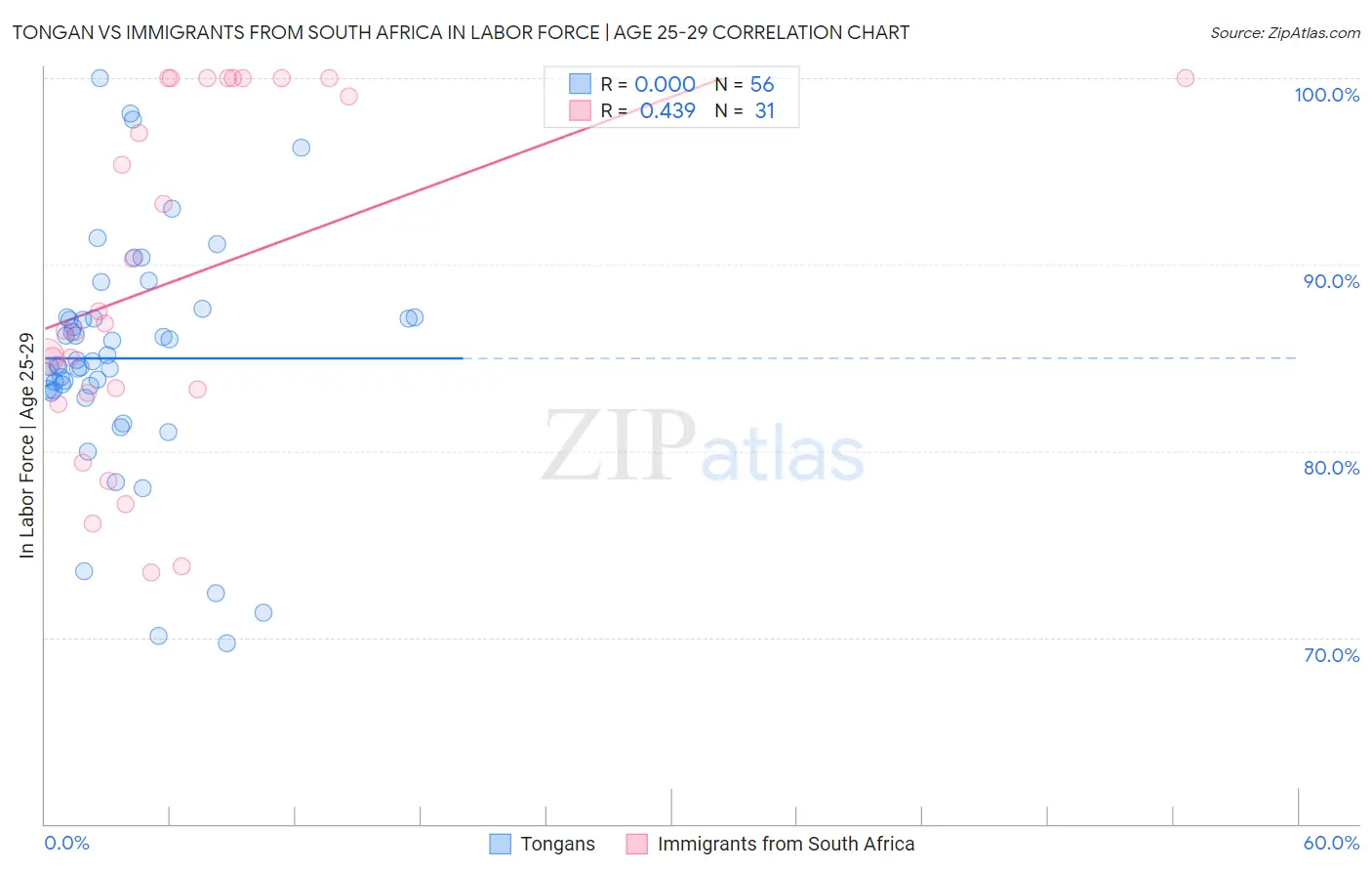 Tongan vs Immigrants from South Africa In Labor Force | Age 25-29