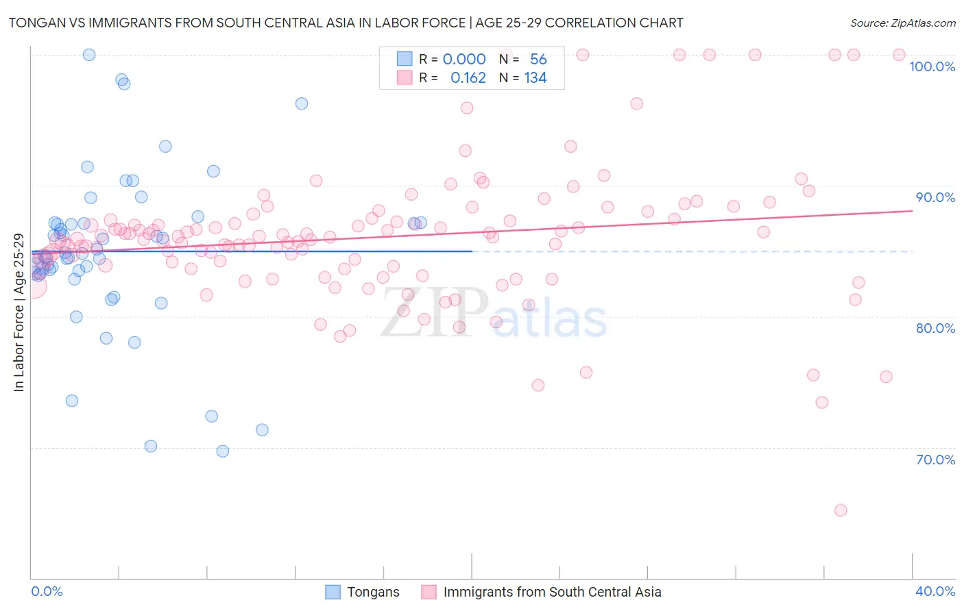 Tongan vs Immigrants from South Central Asia In Labor Force | Age 25-29