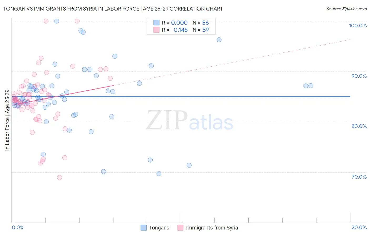 Tongan vs Immigrants from Syria In Labor Force | Age 25-29