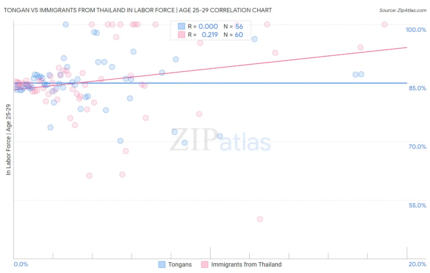 Tongan vs Immigrants from Thailand In Labor Force | Age 25-29