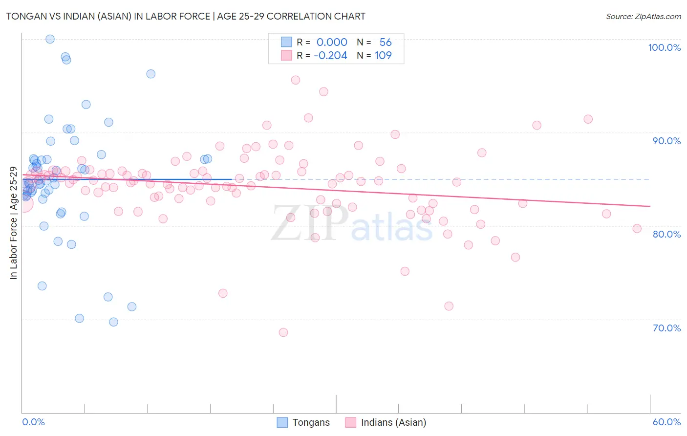 Tongan vs Indian (Asian) In Labor Force | Age 25-29
