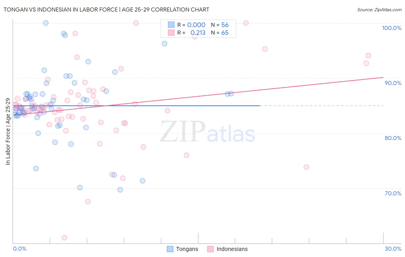 Tongan vs Indonesian In Labor Force | Age 25-29