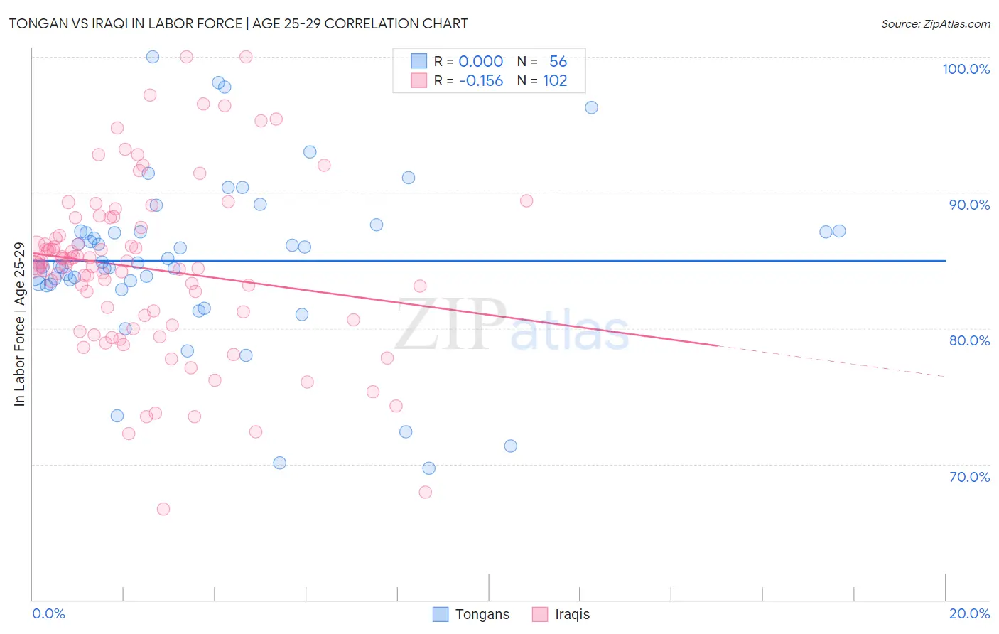 Tongan vs Iraqi In Labor Force | Age 25-29