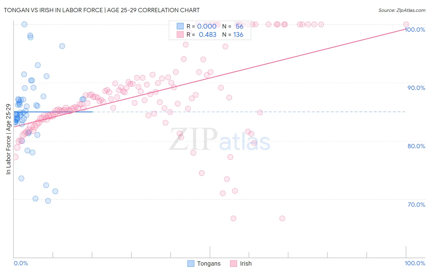 Tongan vs Irish In Labor Force | Age 25-29