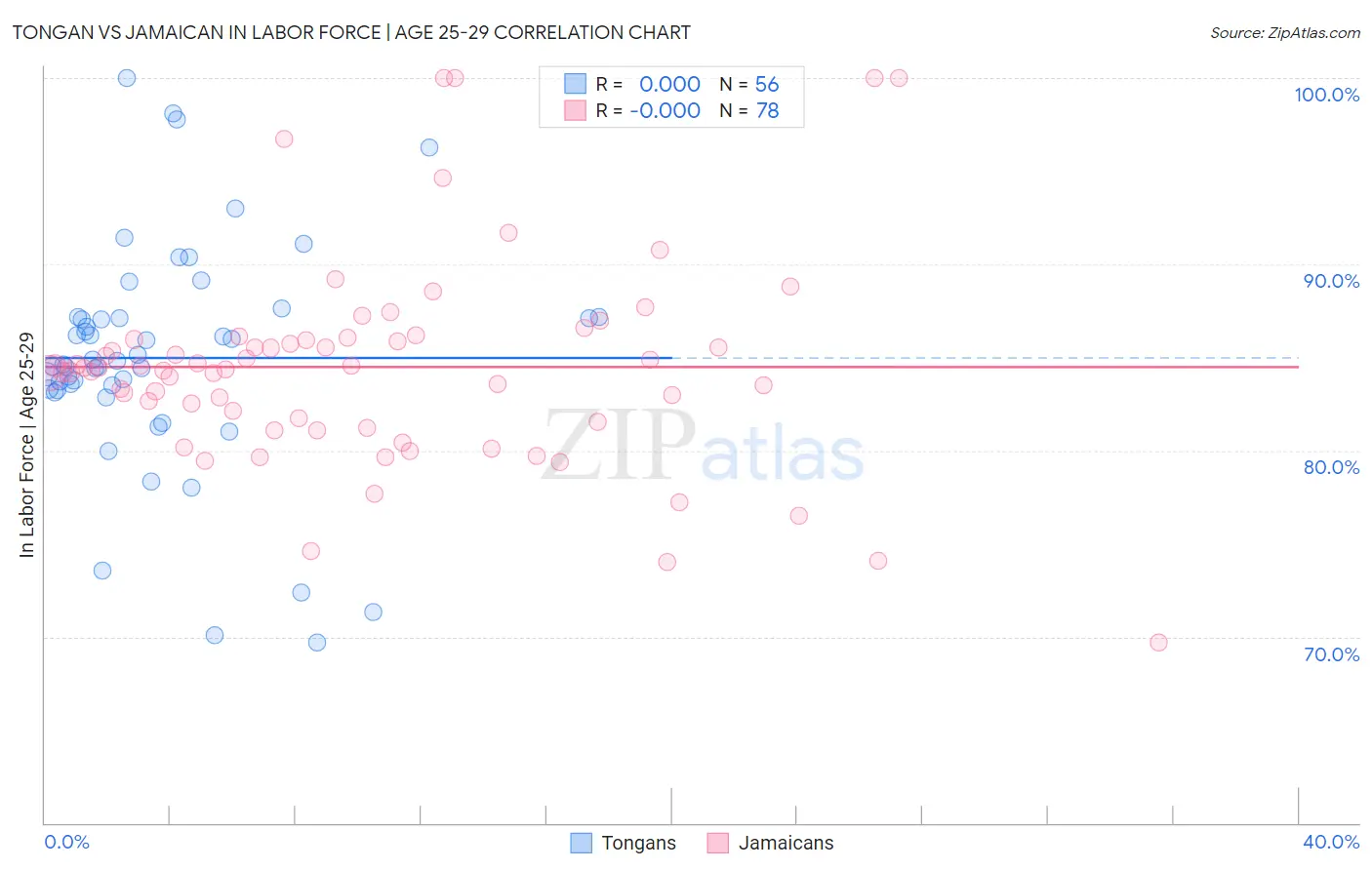 Tongan vs Jamaican In Labor Force | Age 25-29