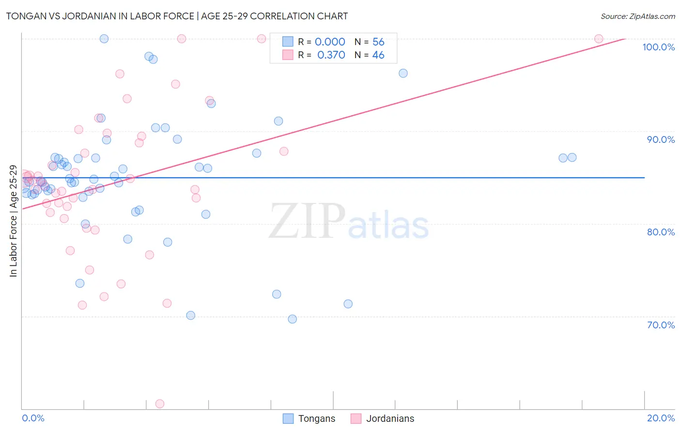 Tongan vs Jordanian In Labor Force | Age 25-29