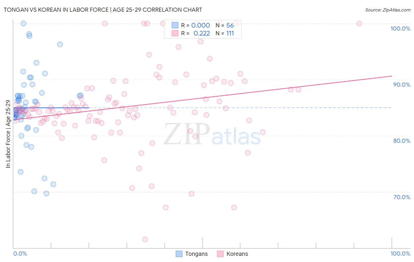 Tongan vs Korean In Labor Force | Age 25-29