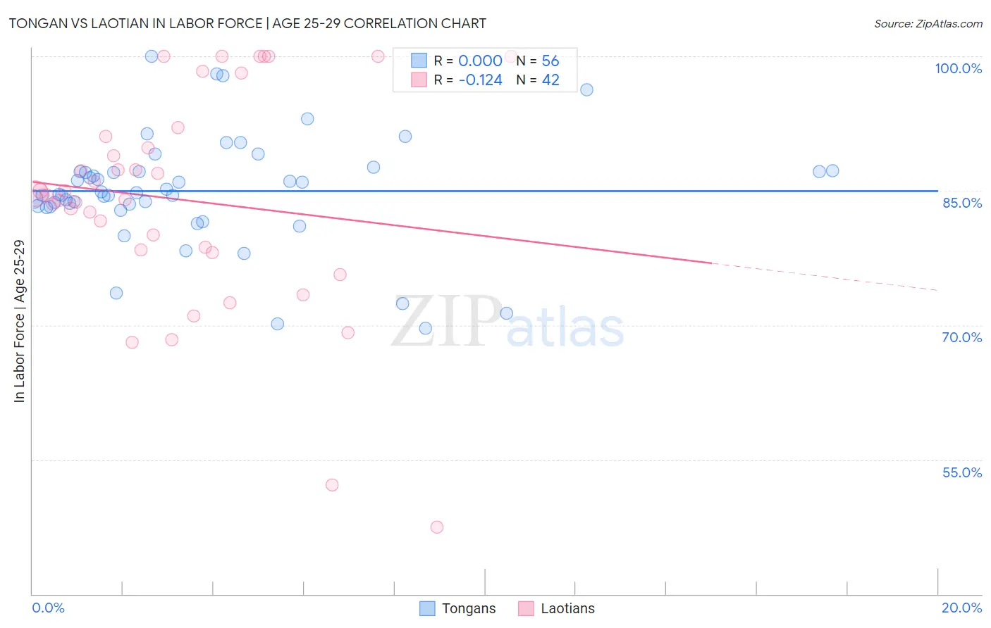 Tongan vs Laotian In Labor Force | Age 25-29