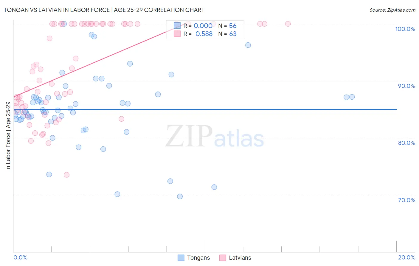 Tongan vs Latvian In Labor Force | Age 25-29