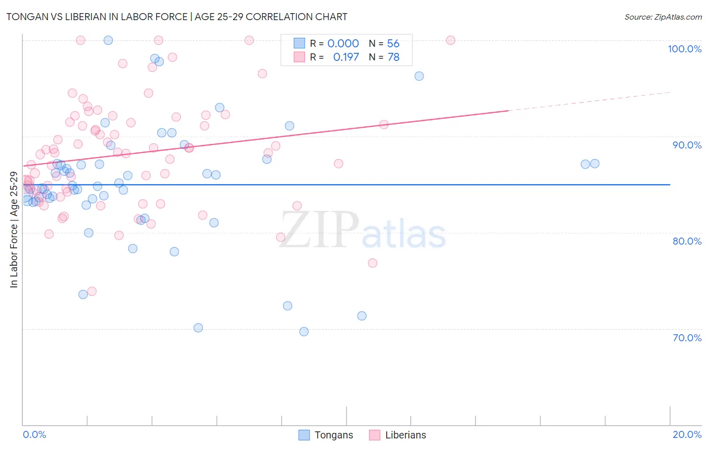 Tongan vs Liberian In Labor Force | Age 25-29