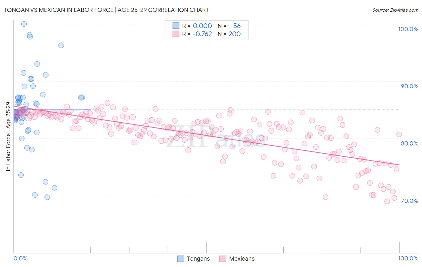 Tongan vs Mexican In Labor Force | Age 25-29