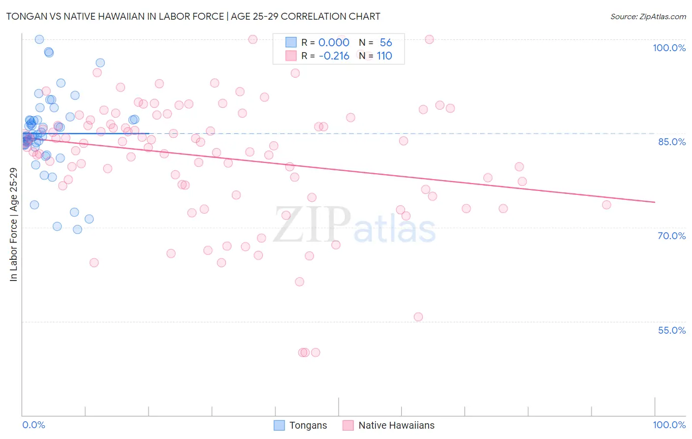 Tongan vs Native Hawaiian In Labor Force | Age 25-29