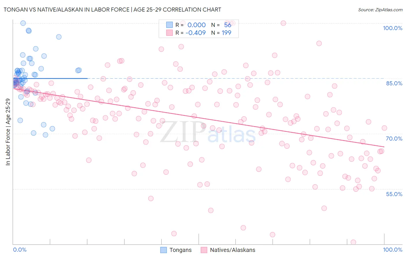 Tongan vs Native/Alaskan In Labor Force | Age 25-29