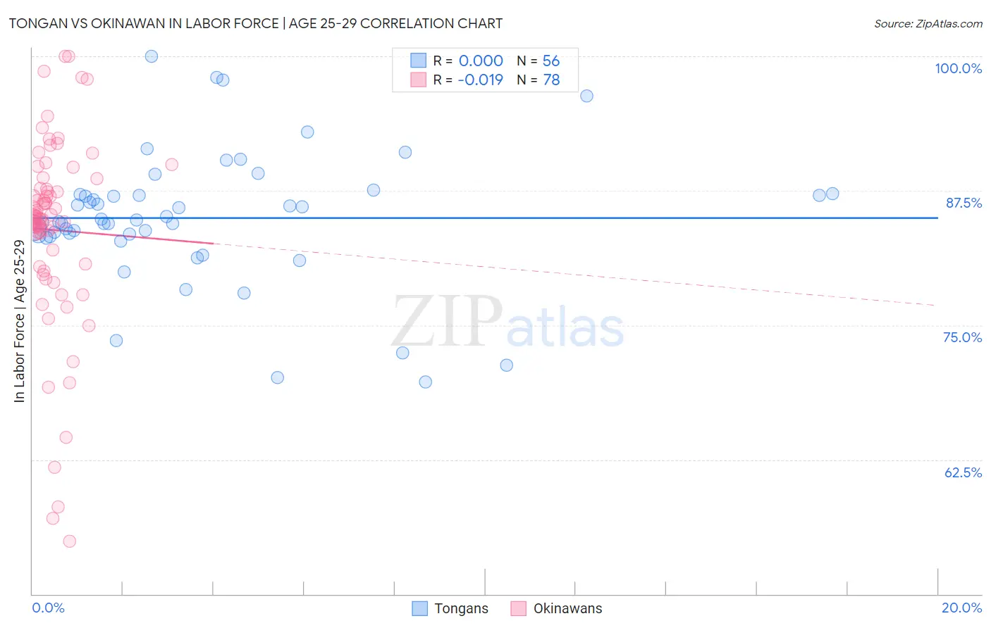 Tongan vs Okinawan In Labor Force | Age 25-29