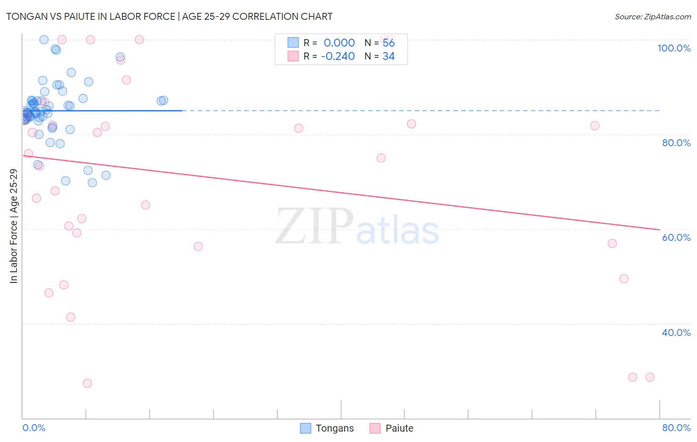 Tongan vs Paiute In Labor Force | Age 25-29
