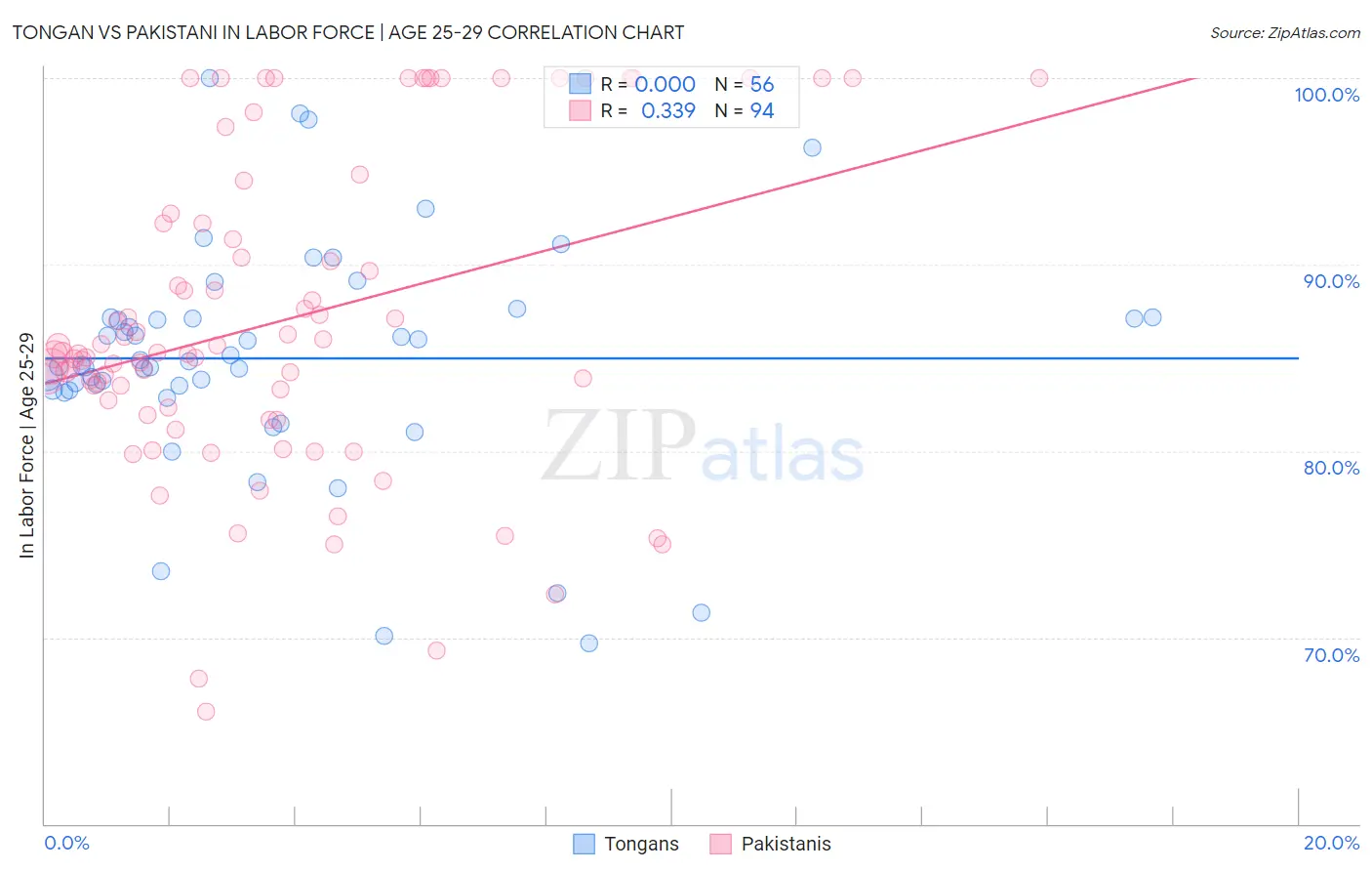 Tongan vs Pakistani In Labor Force | Age 25-29