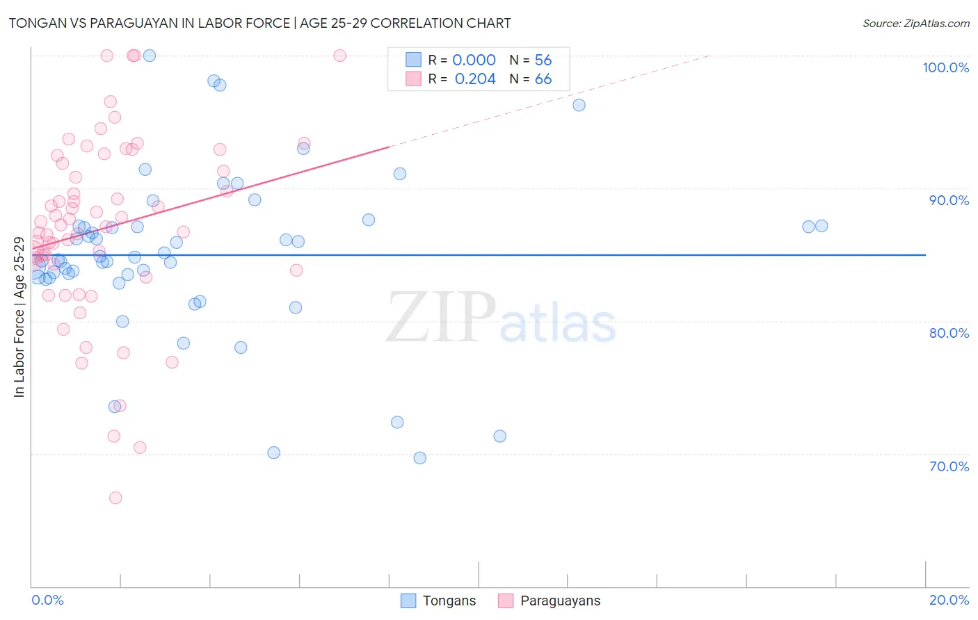 Tongan vs Paraguayan In Labor Force | Age 25-29