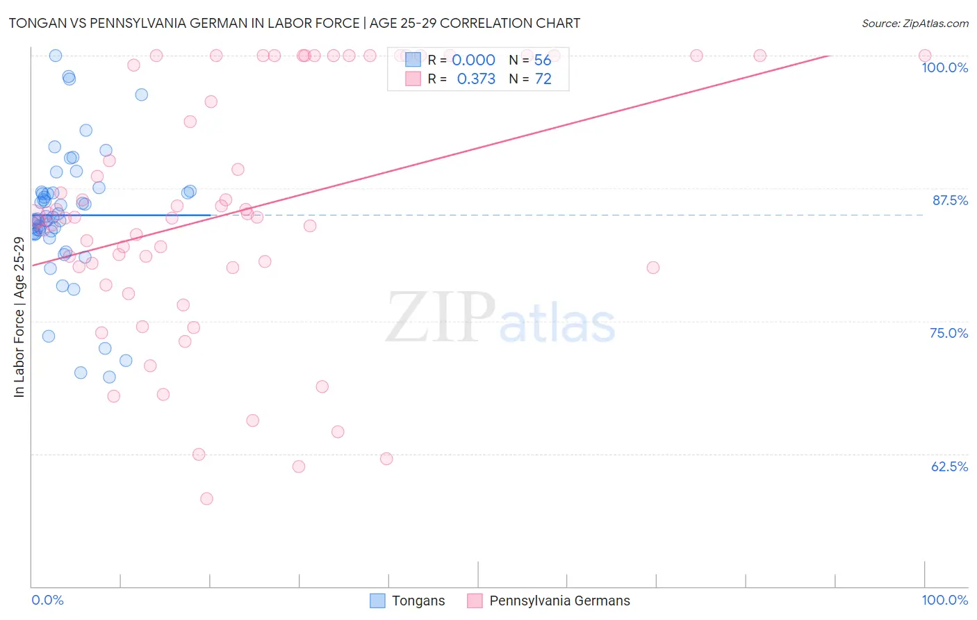 Tongan vs Pennsylvania German In Labor Force | Age 25-29