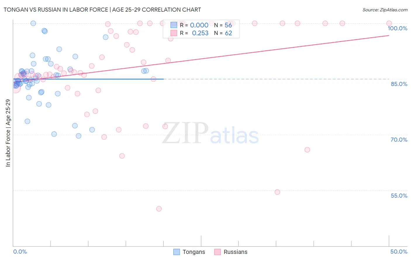 Tongan vs Russian In Labor Force | Age 25-29