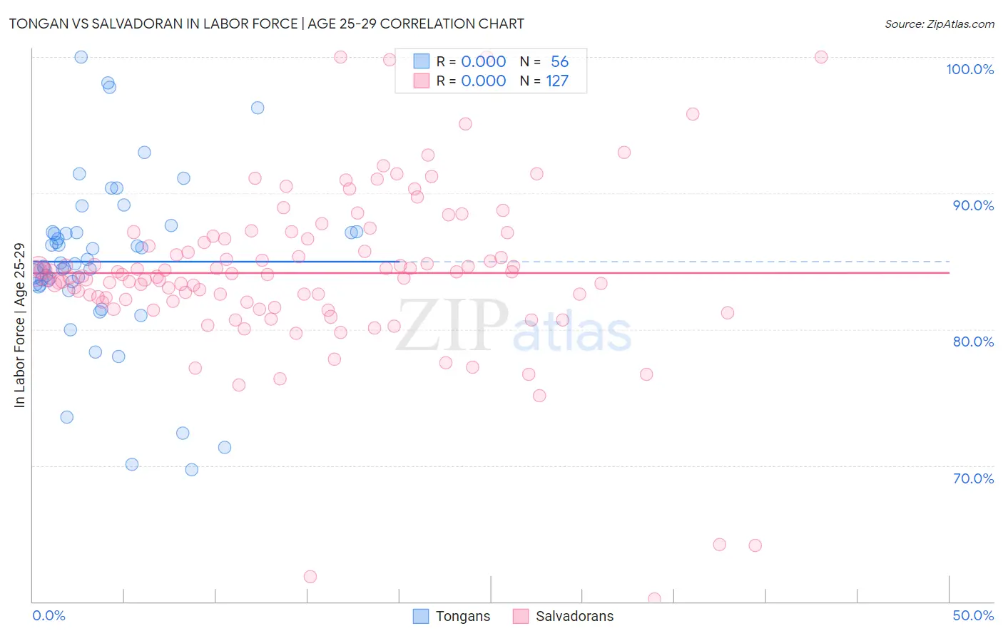 Tongan vs Salvadoran In Labor Force | Age 25-29
