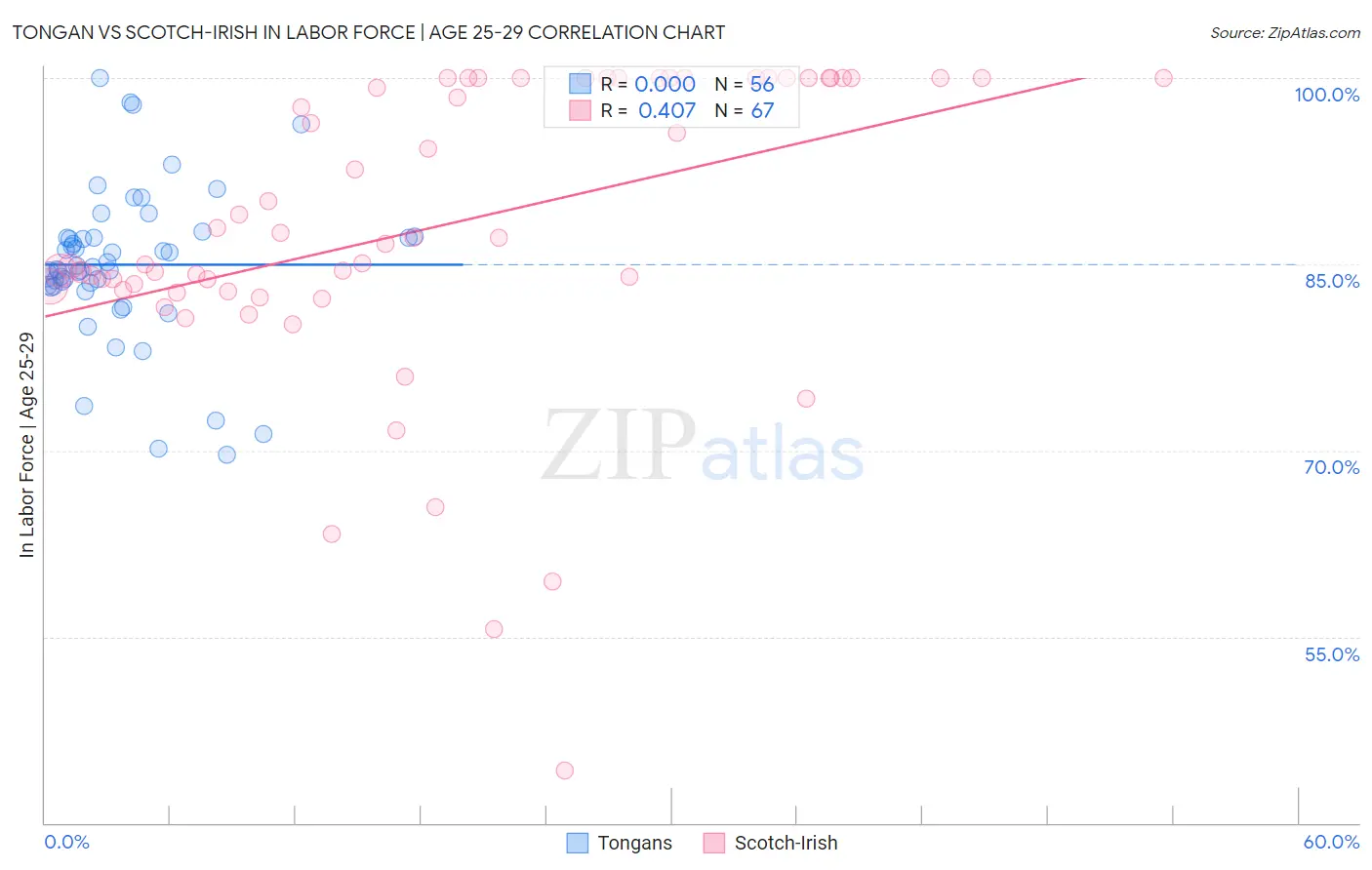 Tongan vs Scotch-Irish In Labor Force | Age 25-29