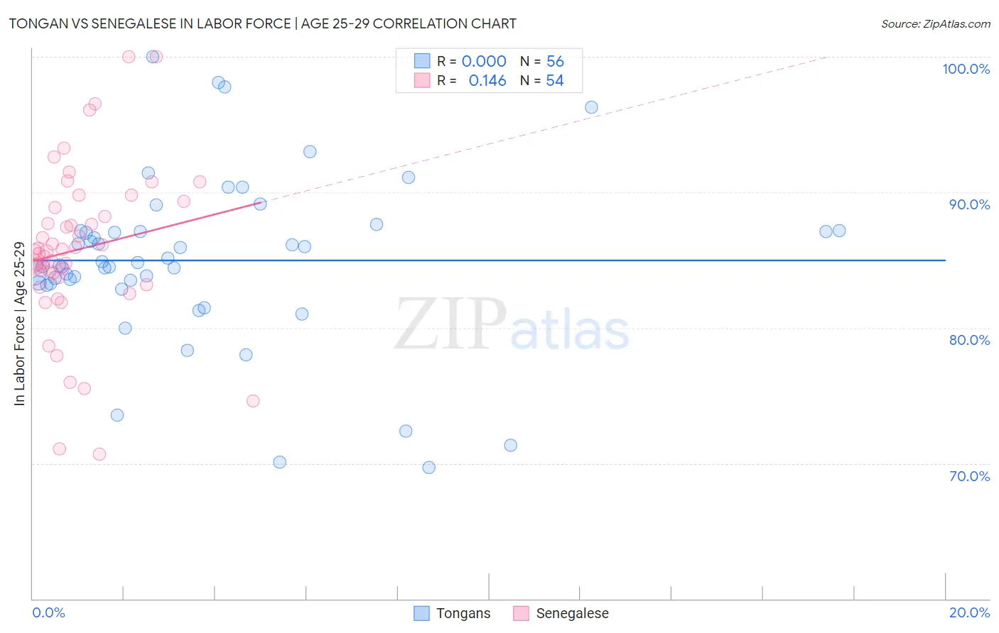Tongan vs Senegalese In Labor Force | Age 25-29