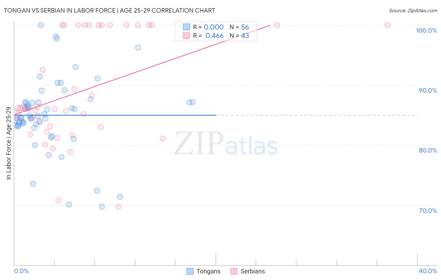 Tongan vs Serbian In Labor Force | Age 25-29