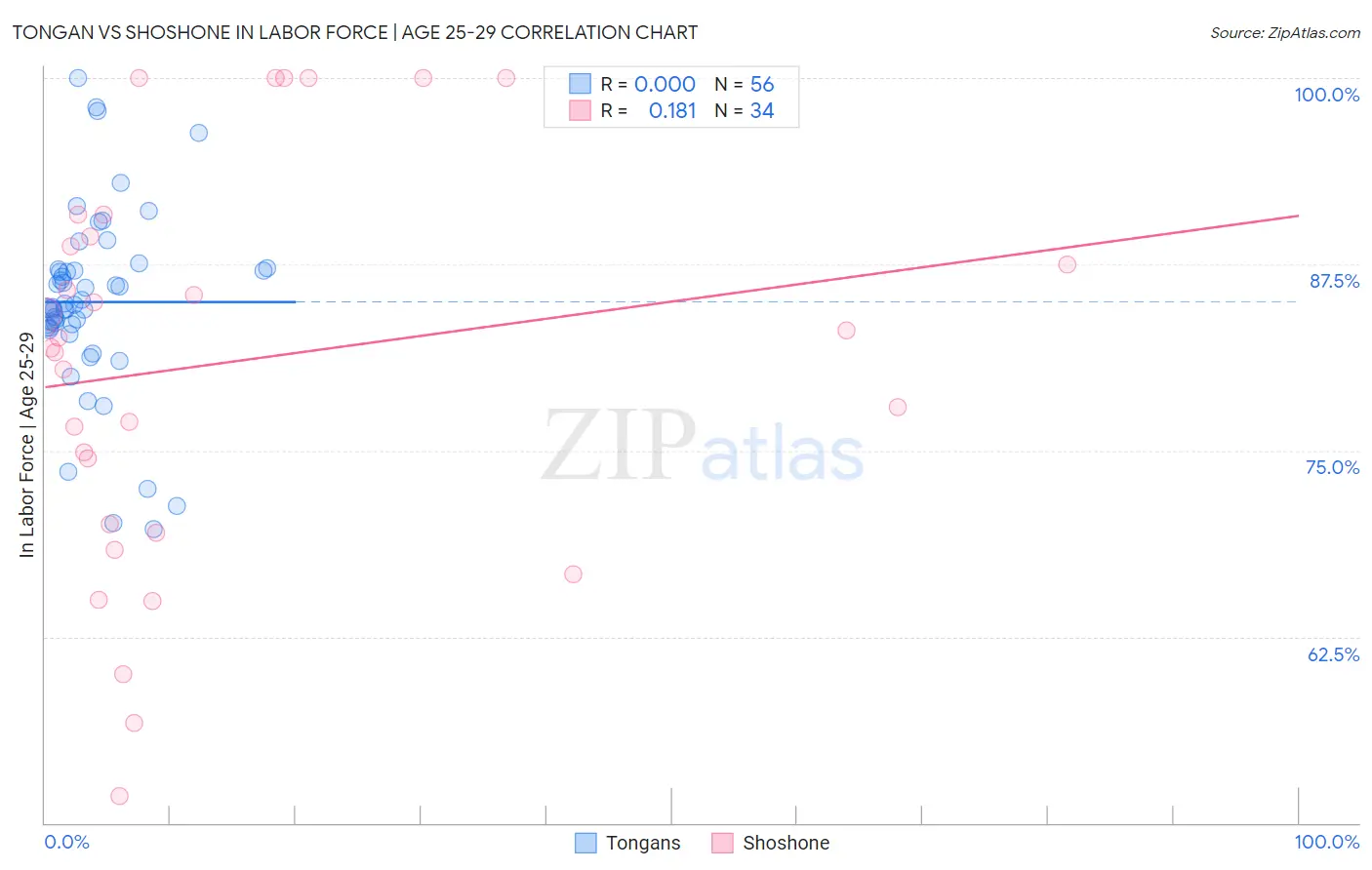 Tongan vs Shoshone In Labor Force | Age 25-29