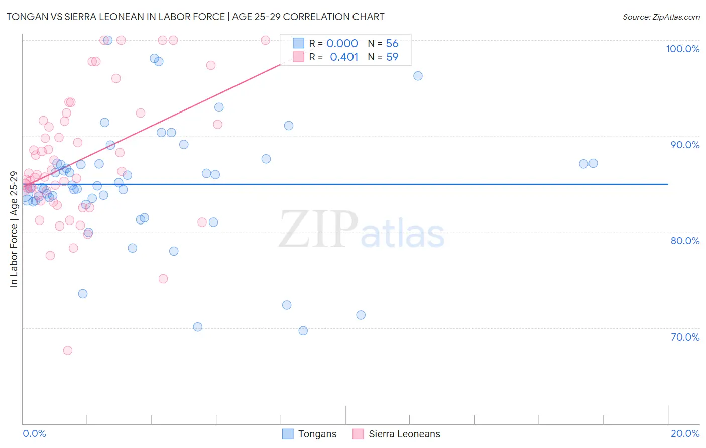 Tongan vs Sierra Leonean In Labor Force | Age 25-29