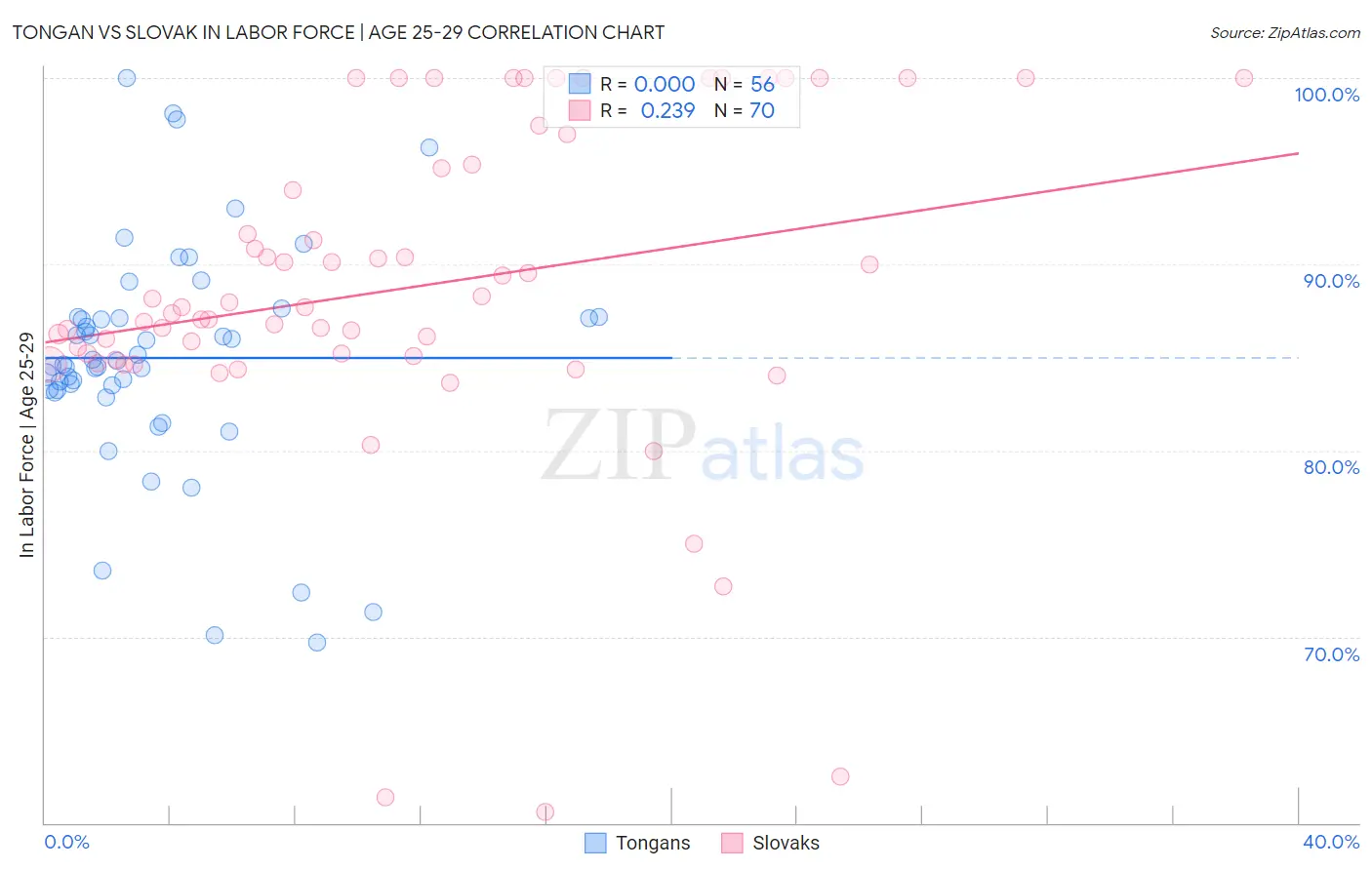 Tongan vs Slovak In Labor Force | Age 25-29