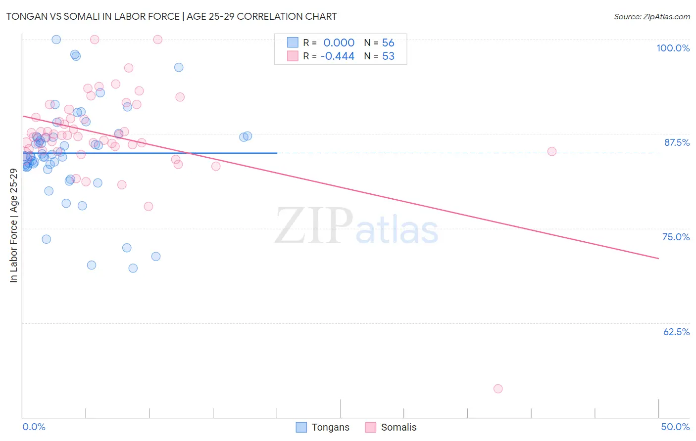 Tongan vs Somali In Labor Force | Age 25-29