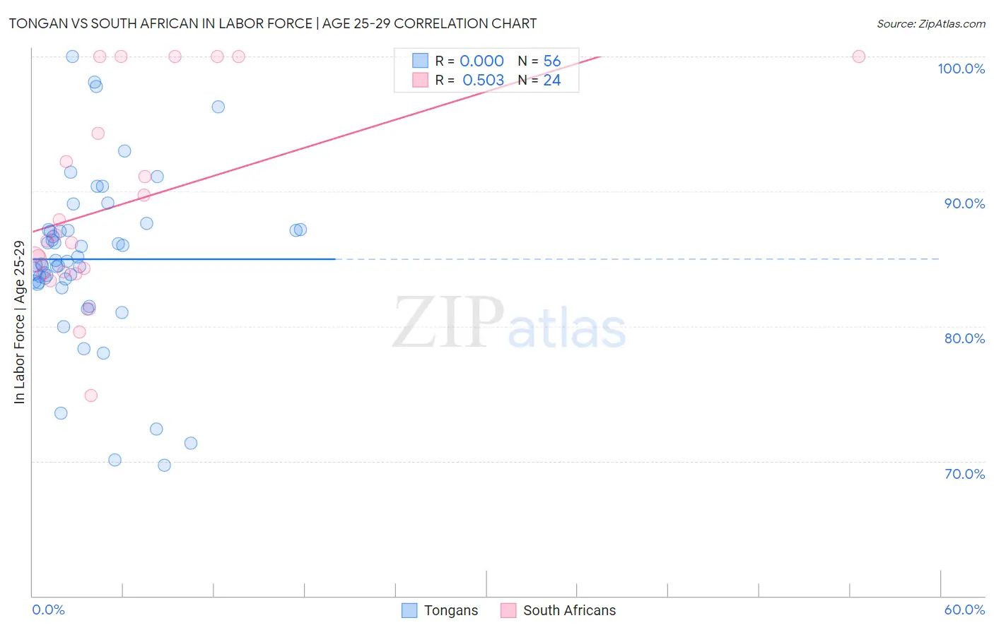 Tongan vs South African In Labor Force | Age 25-29